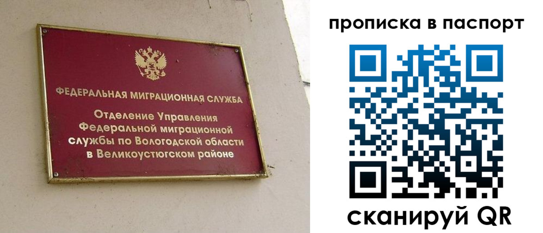 где прописаться в Ленинградской области